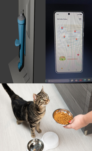 Patikampüs: How We Connected Animal Lovers and Technology to Make a Difference
